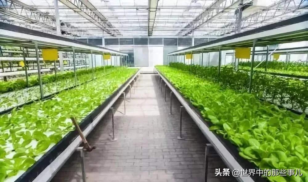 杜邦公司业务范围_杜邦漆的价格_杜邦公司历史